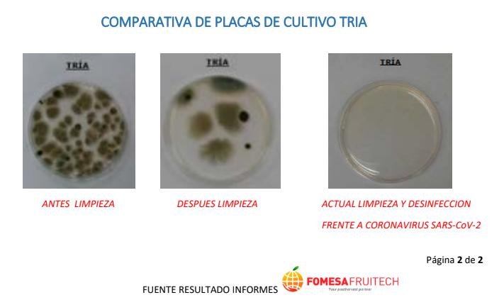 Resultado de nivel de patógenos antes y después de realizar la desinfección ICSAM Resultado de nivel de patógenos antes y después de realizar la desinfección ICSAM