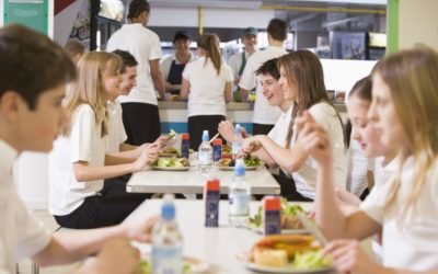 Implantación del sistema APPCC: Guía completa para garantizar la seguridad alimentaria