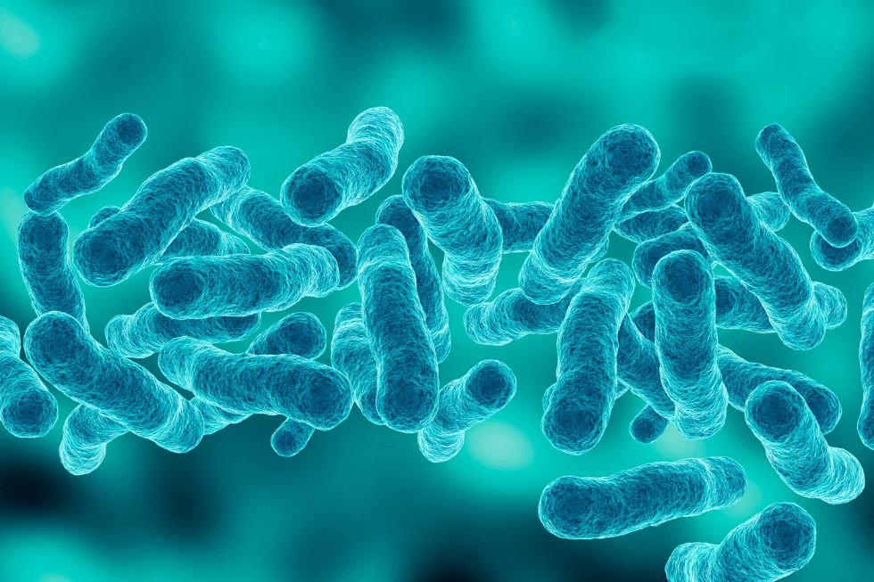 Formación en operaciones menores de control de legionella: formación obligatoria
