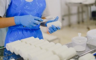Gestión de riesgos alimentarios mediante el sistema APPCC: Guía completa para empresas